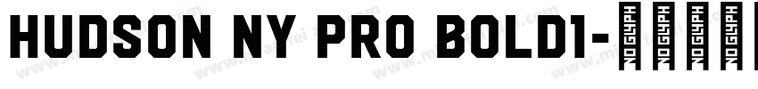 Hudson NY Pro Bold1字体转换